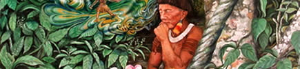 ayahuasca/institutoayahuasca/shaman