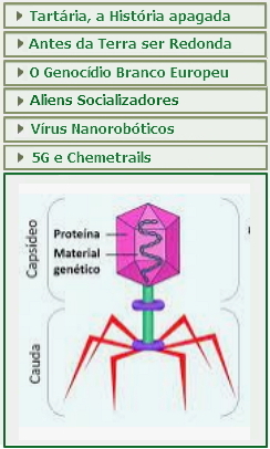 instituto, ayahuasca, daime, erotica, amor, almas, gemeas